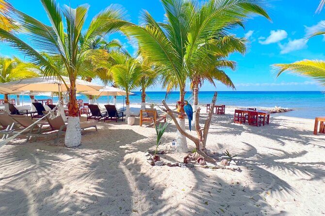 Private Jeep or Buggy Tour Snorkeling Maya Park and Tacos - The Sum Up