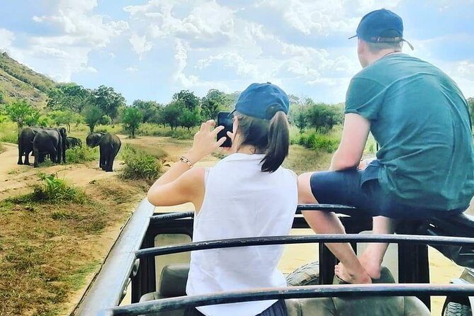 Private Jeep Safari at Minneriya National Park - FAQ