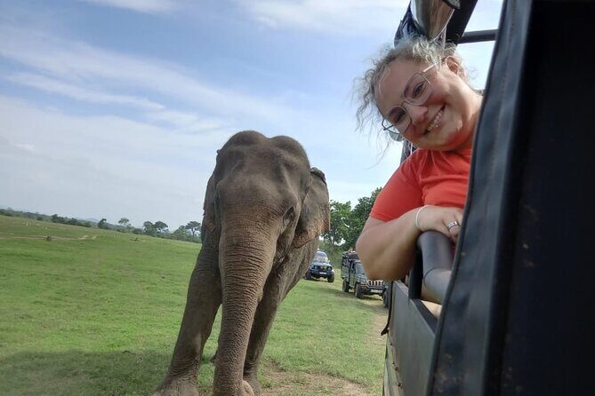 Private Jeep Safari at Minneriya National Park to Visit Elephants - Who is This Tour Best For?