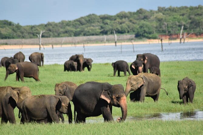 Private Jeep Safari To one of a Best National Park - FAQ