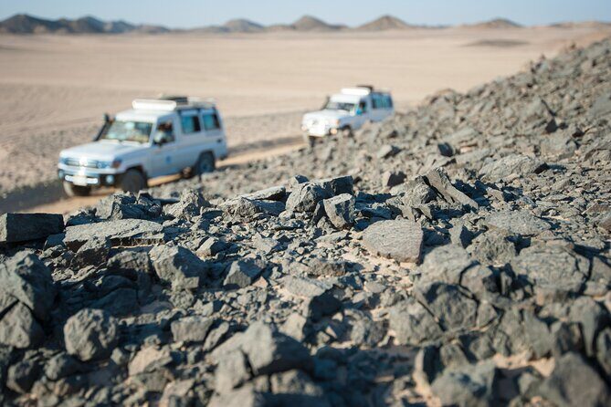 Private Jeep Safari with Quad bike, Buggy, Dinner, and Party - Final Thoughts: Is This Tour Right for You?