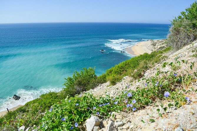 Private Jeep Tour Cabo Pulmo - Additional Practical Tips