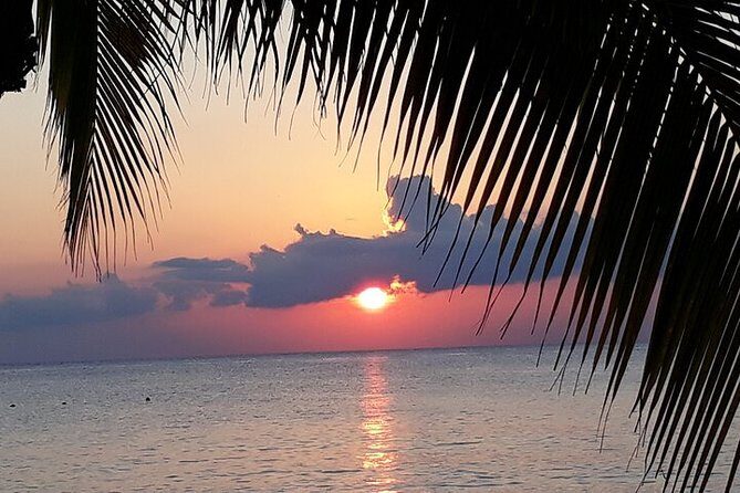 Private Jeep Tour in Cozumel - Who Would Love This Tour?