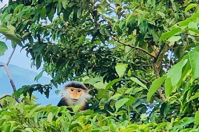 Private Jeep tour Marble and Monkey Mountains -Son Tra Peak - Key Points