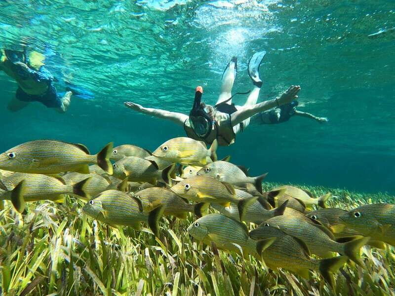 Private Jeep tour to Punta Sur park + snorkel + Lunch - The Experience in Detail