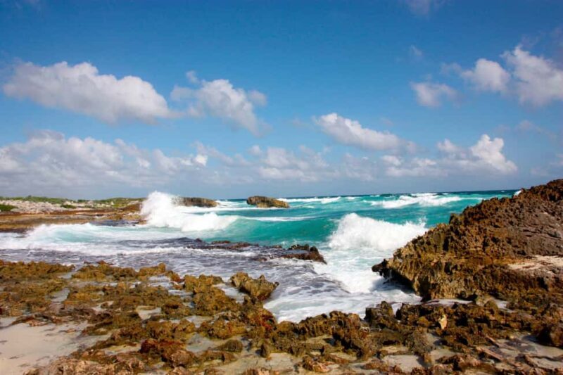 Private Jeep tour to Punta Sur park + snorkel + Lunch - Why This Tour Works
