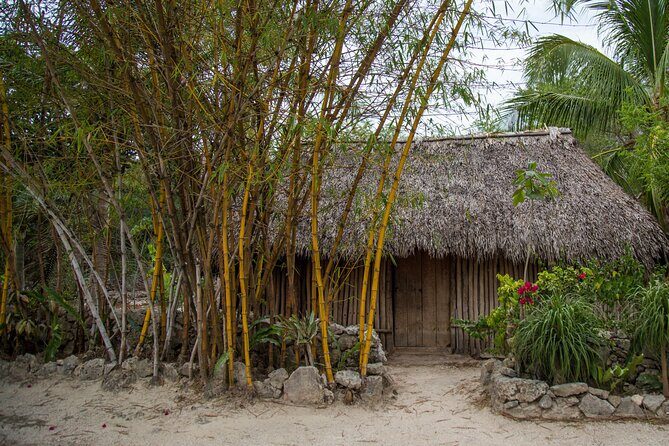 Private Jungle Expedition Tour - Why It’s a Good Deal