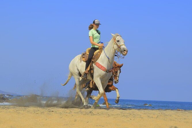 Private Jungle Horseback Adventure - Exploring Sayulita’s Jungle and Beach with Horses