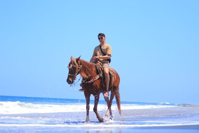 Private Jungle Horseback Adventure - What’s Included and Practical Details