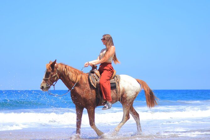 Private Jungle Horseback Adventure - Authentic Experience and Value