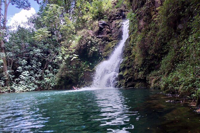 Private Jungle Waterfall Adventure, Wit Da Native Hawaiian Dundee - Stop 1: Anahola’s Hidden Waterfalls and Streams