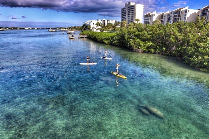 Private Jupiter Island Guided Paddle Boarding Tour - An In-Depth Look at the Experience