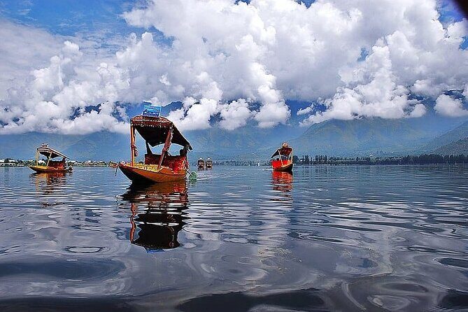 Private Kashmir Family 7-Day Tour - Day 1: Welcome to Srinagar