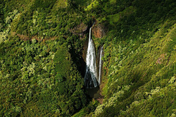 Private Kauai Airplane Tour: Na Pali Coast, Waterfalls & More - Why Travelers Rave About This Tour
