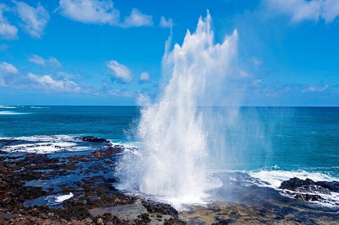 Private Kauai Island Tour - Featuring Waimea & Kokee State Parks - The Sum Up