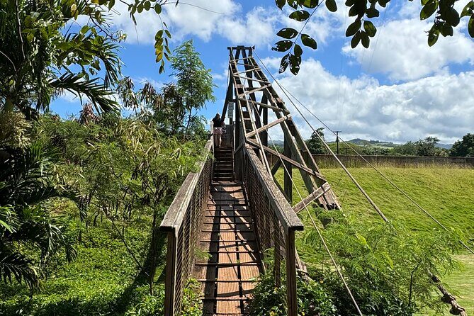 Private Kauai Island Tour : Waimea Canyon, Kalalau Lookout + More - Exploring Kauai’s Natural Beauty: A Detailed Review