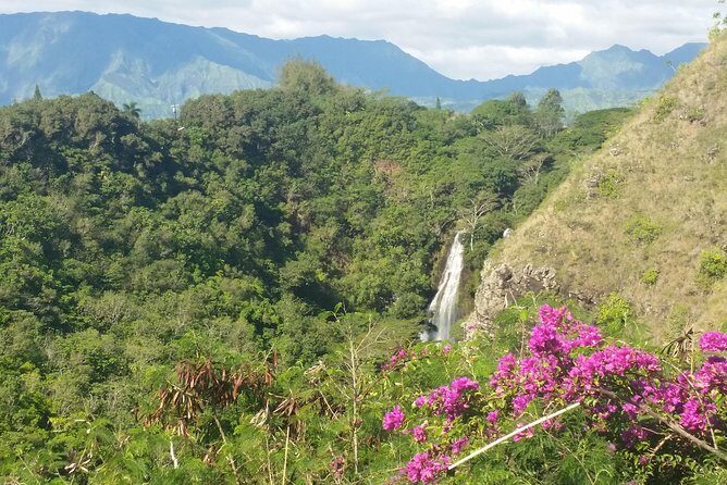 Private Kauai North Shore Tour - Hanalei Valley Lookout: Picturesque Taro Fields