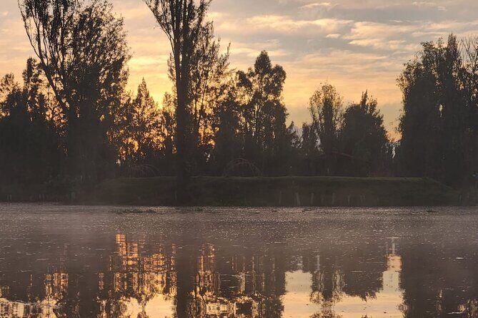 Private Kayak tour through the canals of Xochimilco - Practical Details and Considerations
