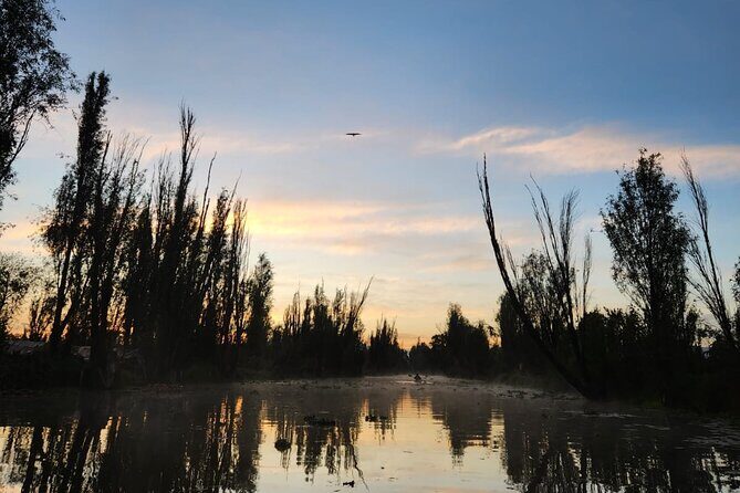 Private Kayak tour through the canals of Xochimilco - Frequently Asked Questions
