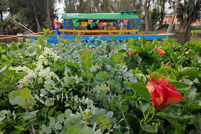 Private kayaks tour in Xochimilco & Cuicuilco pyramid - Final Thoughts: Is It Worth It?