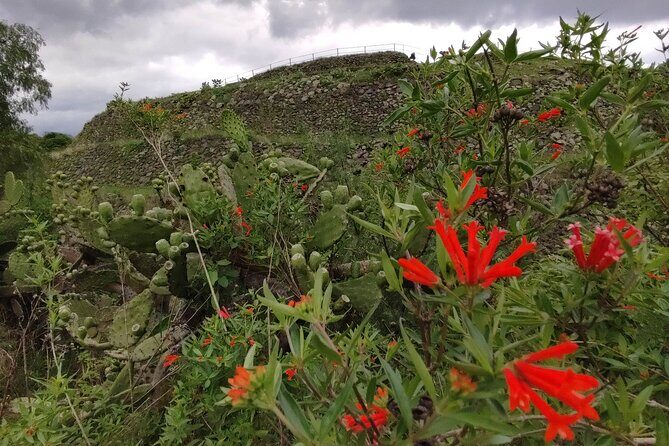 Private kayaks tour in Xochimilco & Cuicuilco pyramid - Frequently Asked Questions