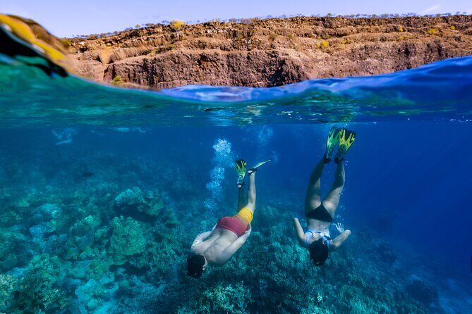 Private Kealakekua Bay Snorkel with Dolphin Watch - What’s Included and What You Should Bring