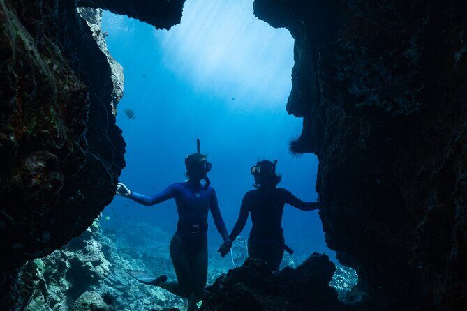 Private Kealakekua Bay Snorkel with Dolphin Watch - Who Should Consider This Tour?