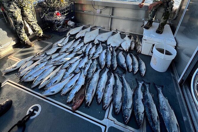 Private Ketchikan Halibut and Salmon Fishing Charter - Practical Tips for Your Trip
