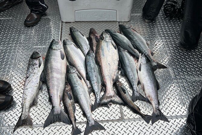 Private Ketchikan Wild Alaskan Salmon Fishing Trip - The Experience: Why It Stands Out