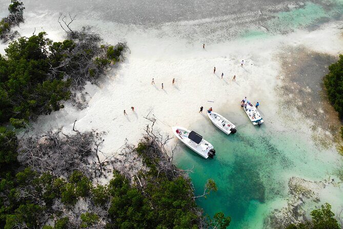 Private Key West Fishing & Sandbar or Snorkel Charter - Duration, Price & Value