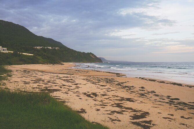 Private Kiama Day Trip from Sydney Sea Cliff and Farmlands - Key Points