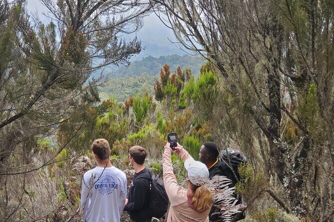 Private Kilimanjaro Day Hike to Marangu Route's Mandara Hut - What’s Included and What’s Not
