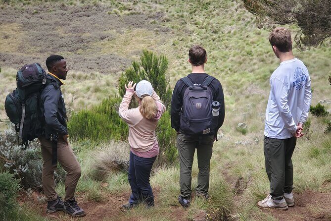 Private Kilimanjaro Day Hike to Marangu Route's Mandara Hut - Authentic Experiences and Authentic Guides