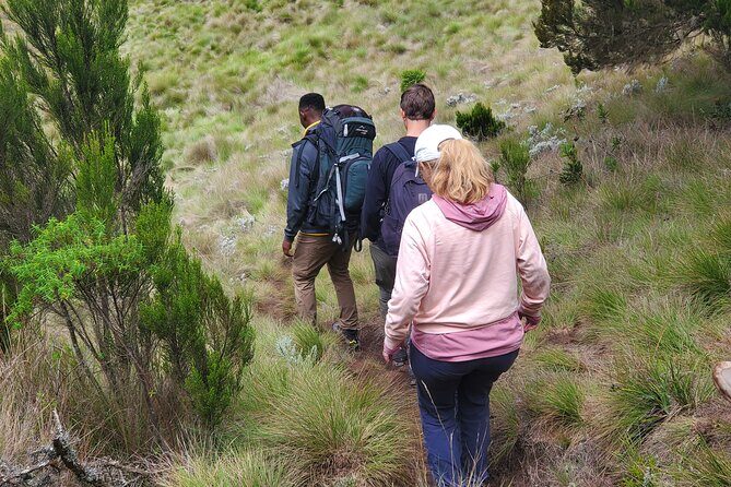 Private Kilimanjaro Day Hike to Marangu Route's Mandara Hut - FAQ