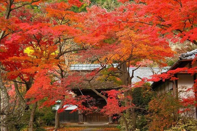 Private Kimono photo shooting tour in ancient city Kamakura - The Sum Up