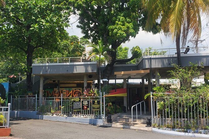 Private Kingston and Bob Marley Museum Tour from Ocho Rios - What Travelers Can Expect in Terms of Comfort and Logistics
