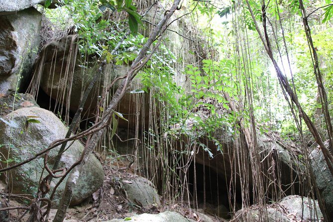 Private Koh Phangan Land Tour - Final Thoughts: The Real Value