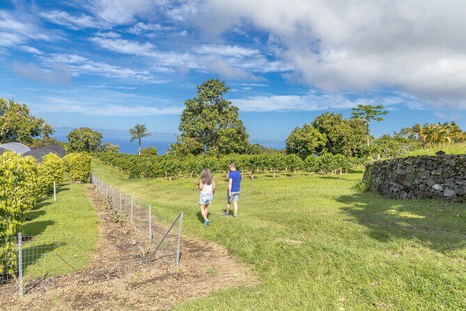 Private Kona Coffee and National Historic Parks Tour - The Value Proposition