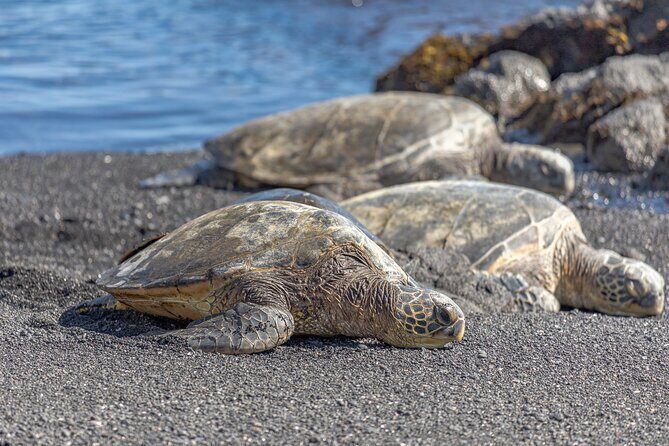 Private Kona Coffee and National Historic Parks Tour - Frequently Asked Questions