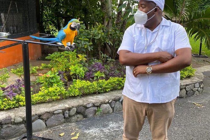 Private Konoko Falls and Blue Hole Combo Tour from Ocho Rios - Key Points