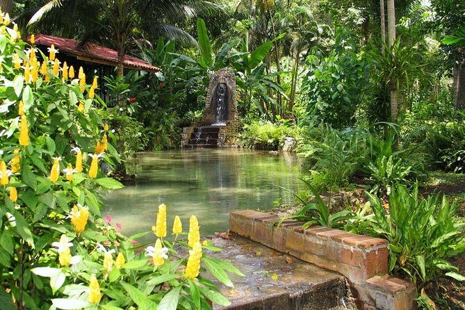 Private Konoko Falls and Blue Hole Combo Tour from Ocho Rios - The Sum Up