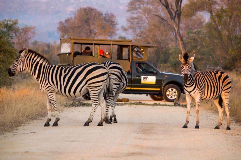 Private Kruger Full Day Safari from Hazyview - Why This Tour Works Well for Travelers