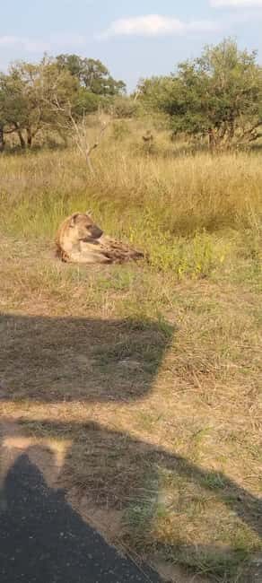 Private Kruger park and Panorama route tour - Key Points