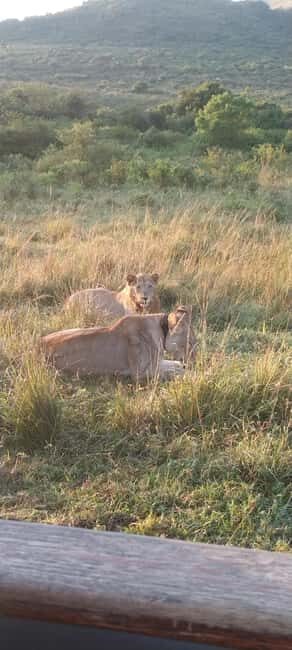 Private Kruger park and Panorama route tour - The Itinerary in Detail