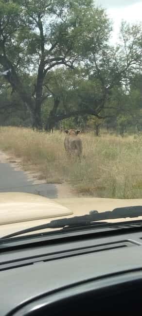 Private Kruger park and Panorama route tour - The Sum Up