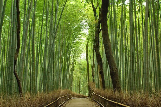 Private Kyoto Arashiyama Custom Half-Day Tour by Chartered Vehicle - An In-Depth Look at the Tour Itinerary