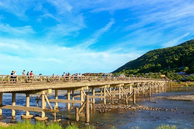 Private Kyoto Arashiyama Custom Half-Day Tour by Chartered Vehicle - Who Should Consider This Tour?