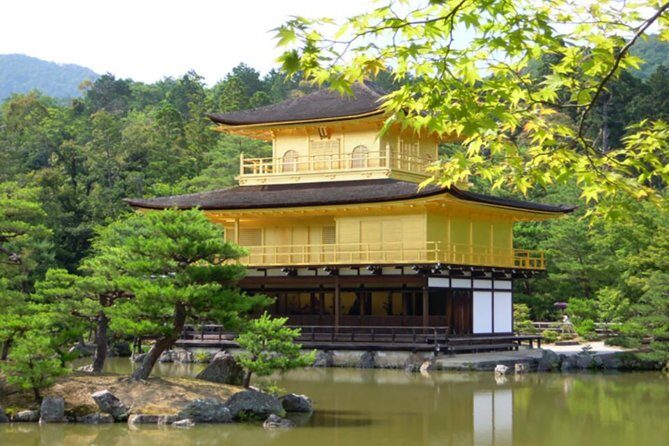Private Kyoto Custom One Day Tour by Chartered Vehicle - A Detailed Look at the Tour Experience