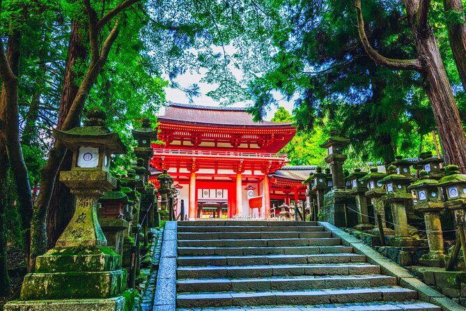 Private Kyoto Nara Tour by Car with Deer, Buddha and More - Final Thoughts