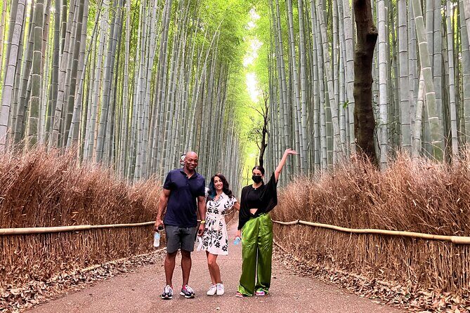 Private Kyoto Tour with Licensed Guide & Vehicle (Max 15 persons) - The Sum Up: Who Is This Tour Best For?
